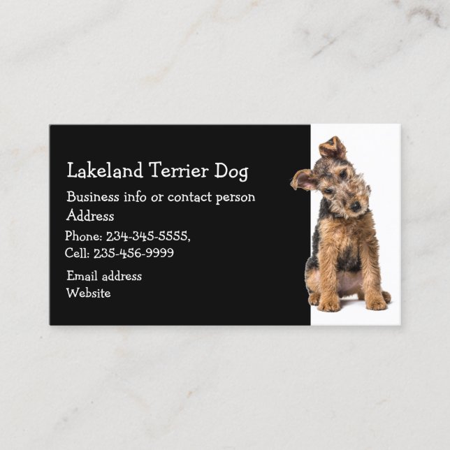 Carte De Visite Lakeland Terrier Dresseur de chiens Sitter d'anima (Devant)