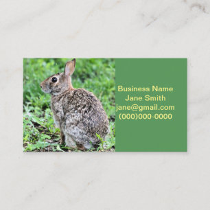 Carte De Visite Lapin