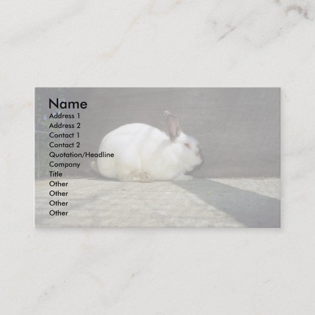 Carte De Visite Lapin (Devant)