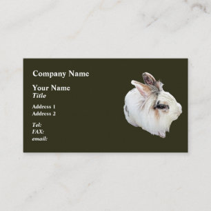 Carte De Visite Lapin Lionhead tricolore