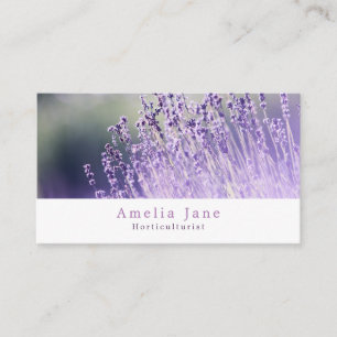 Carte De Visite Lavande violette, jardinier, Horticulteur