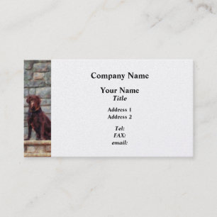 Carte De Visite Laveuse de chocolat sur porche - Finition de plati