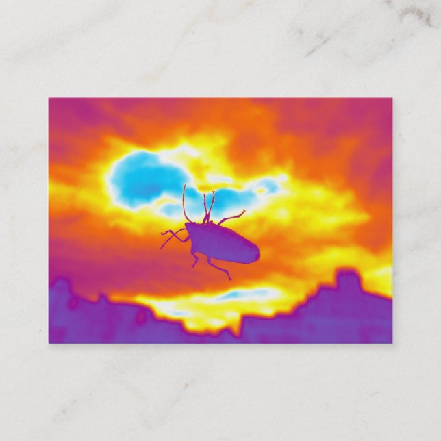 Carte De Visite Le bourbier psychédélique (Devant)