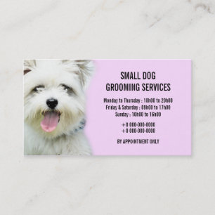 Carte De Visite Le chien de salon d'animal familier toilettant  