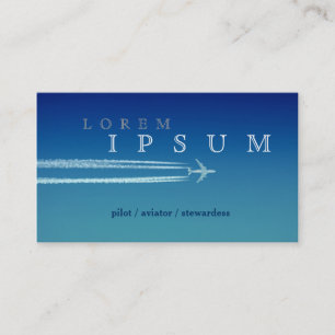 Carte De Visite Le ciel pilote Fly Air d'avion d'hôtesse