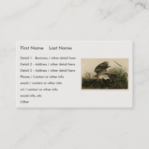 Carte De Visite Le faucon d'hiver, les oiseaux d'Amérique de John