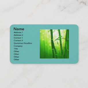 Carte De Visite Le professionnel de bureau personnalisent le