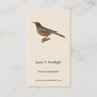Le Robin américain (Turdus migratorius) NY Birds