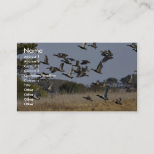 Carte De Visite Le troupeau des oiseaux aquatiques volent du