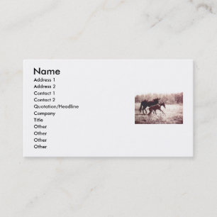 Carte De Visite Leap For Joy Foal and Mare