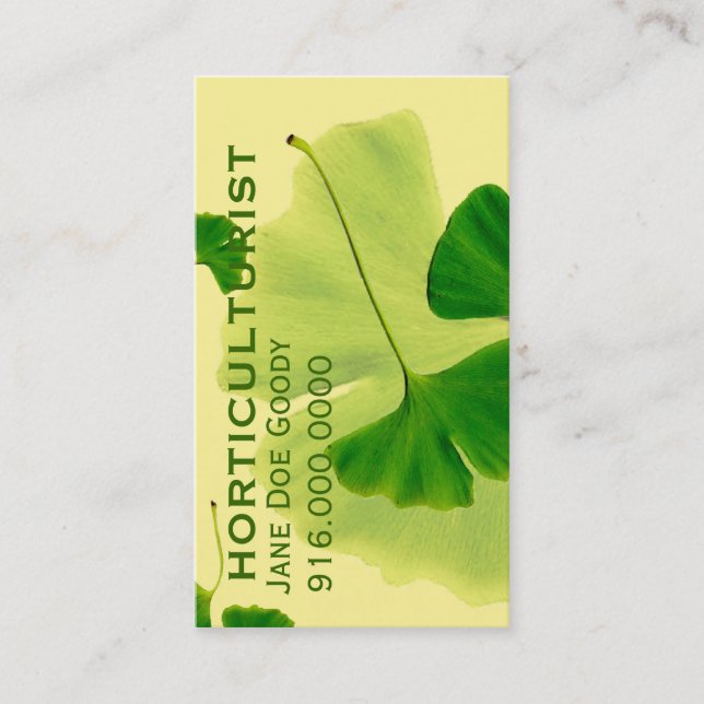 Carte De Visite Lemon Grove Elégance : Ginkgo Feuille (Devant)