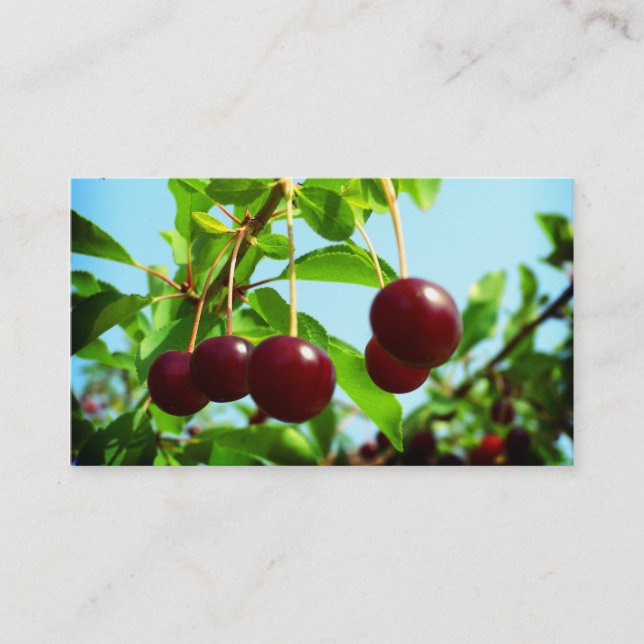 Carte De Visite Les cerises rouges - ajoutez votre propre contact (Devant)