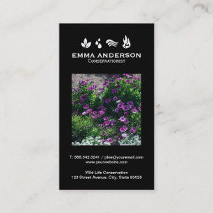 Carte De Visite Les éléments   Environnement