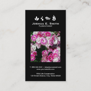 Carte De Visite Les éléments   Environnement V