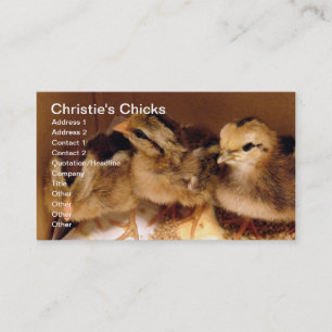 Carte De Visite Les poules de 2 jours, les poules de Christie