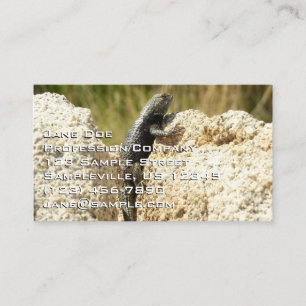 Carte De Visite Lézard épineux à dos jaune à Joshua Tree