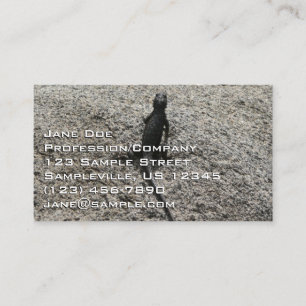 Carte De Visite Lézard noir