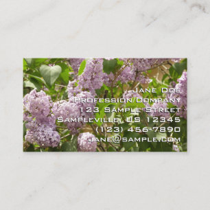Carte De Visite Lilac Bush Belles fleurs de printemps violettes
