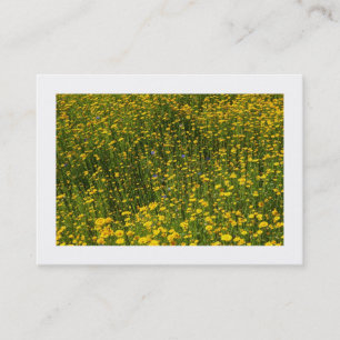 Carte De Visite Lit de marguerites jaunes (Bordé)
