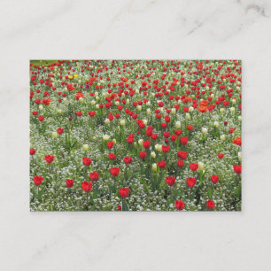 Carte De Visite Lit de tulipes