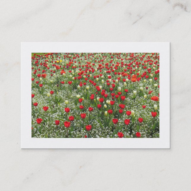 Carte De Visite Lit de tulipes (Bordé) (Devant)