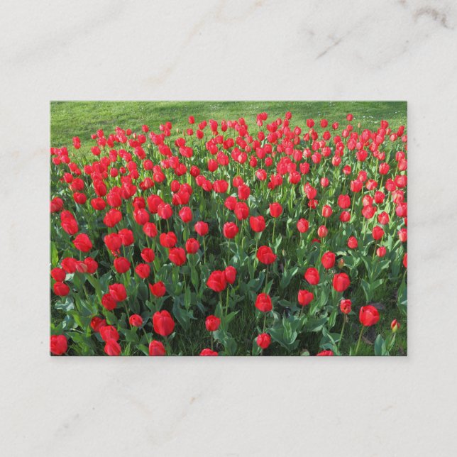 Carte De Visite Lit des Tulipes rouges 01 (Devant)