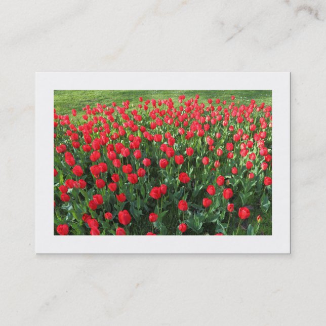 Carte De Visite Lit des tulipes rouges 01 (Bordé) (Devant)