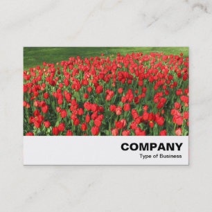 Carte De Visite Lit des Tulipes rouges 02