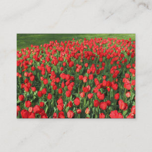 Carte De Visite Lit des Tulipes rouges 02