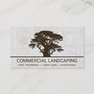Carte De Visite Logo Big Tree   Arrière - plan White Rock