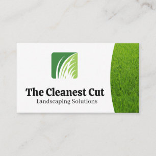 Carte De Visite Logo paysager en herbe   Soins de pelouse