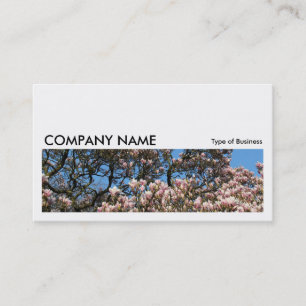 Carte De Visite Long Picture 0172 - Magnolia Trees in Blossom