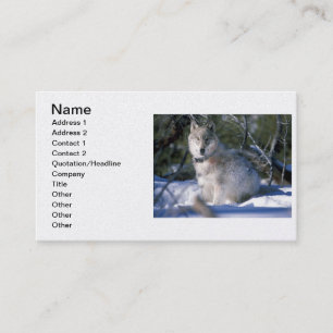 Carte De Visite Loup de bois nord-américain en neige