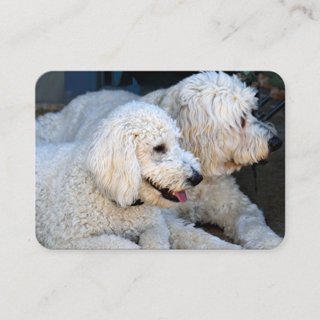 Carte De Visite Love Goldendoodles (Devant)