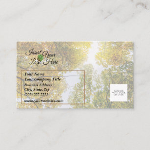 Carte De Visite Lumière du soleil à travers l'automne Sugar Maples