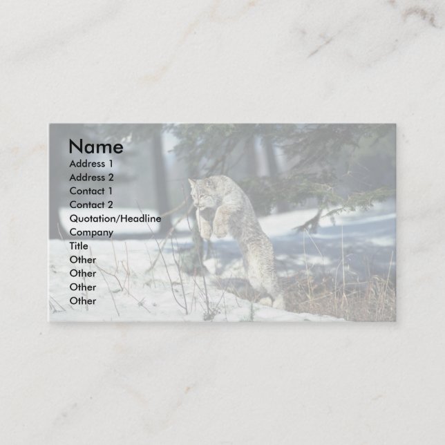 Carte De Visite Lynx sautant, bondissant sur la neige (Devant)