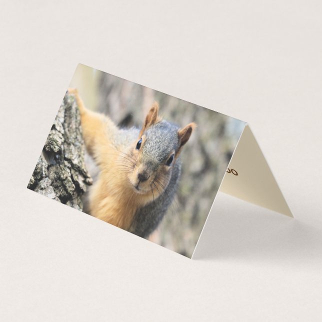 Carte De Visite M. Cutie (Devant)