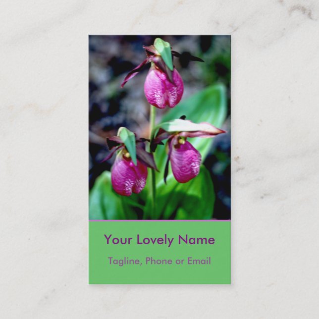 Carte De Visite Madame pantoufle I, plaisir vert magenta rose de (Devant)