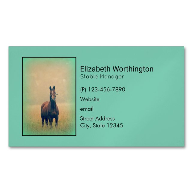 Carte De Visite Magnétique Bay Horse Standing (devant)