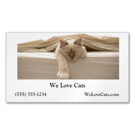 Carte De Visite Magnétique Chat Beige Couché Sur Lit Beige