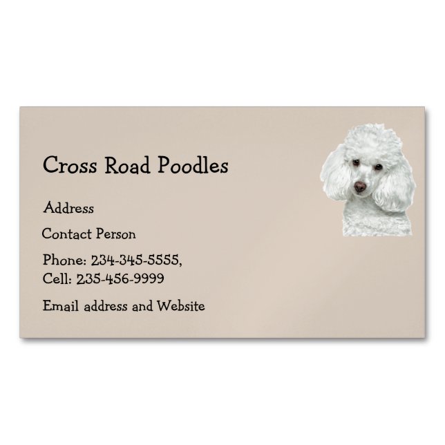 Carte De Visite Magnétique Chien blanc Anima Anima (devant)