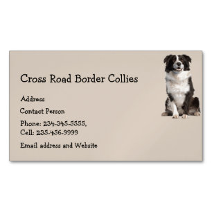 Carte De Visite Magnétique Collies à la frontière personnalisées Chien animal