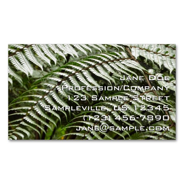Carte De Visite Magnétique Fern Fronds II Dark Green Nature (devant)