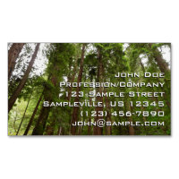 Jusqu'aux séquoias I à Muir Woods National Monumen
