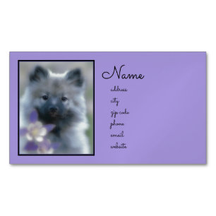 Carte De Visite Magnétique Keeshond et Columbine - Photo de chien