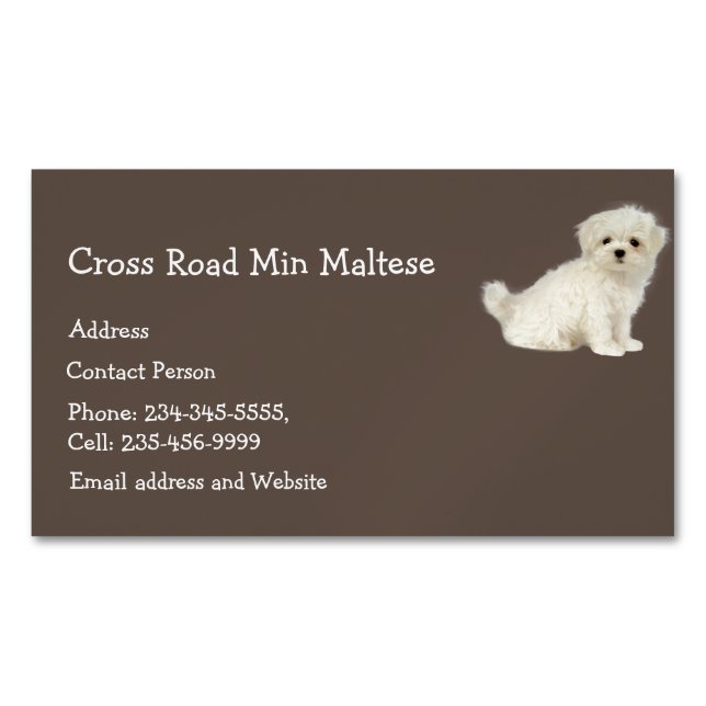 Carte De Visite Magnétique Logo animal animal animal animal chien maltais (devant)