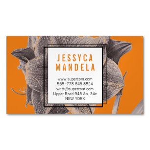 Carte De Visite Magnétique Moderne Amaryllis Fleur Orange