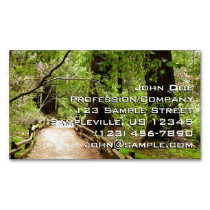 Carte De Visite Magnétique Muir Woods Path II Nature Photography
