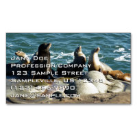 Otaries de San Diego