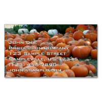Photographie de récolte d'automne des citrouilles